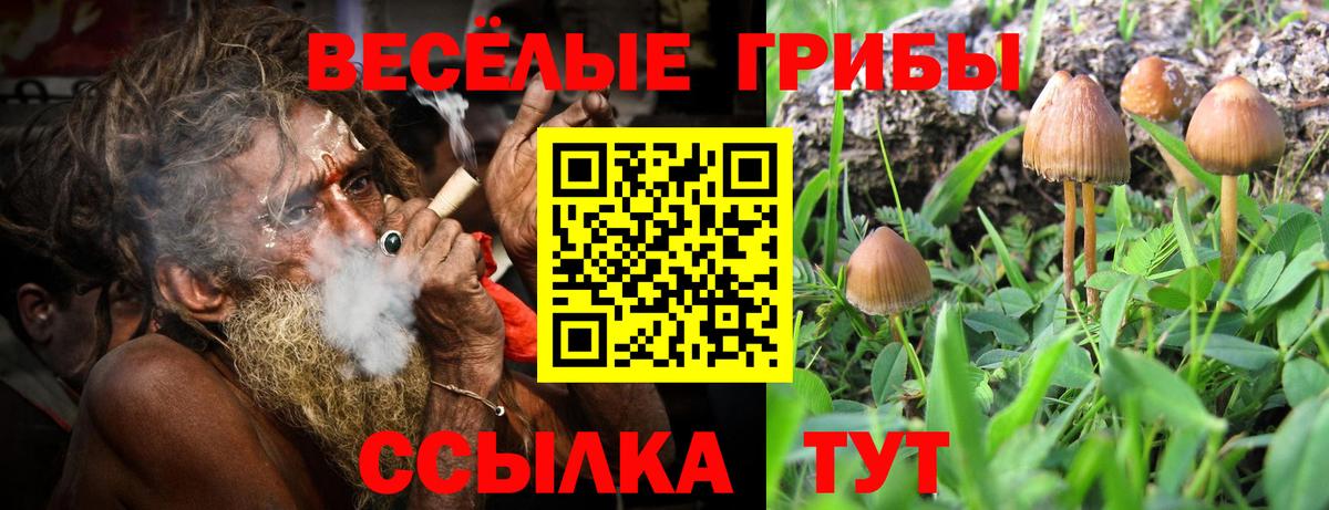 Псилоцибиновые грибы мицелий  Вход с VPN  Псилоцибиновые грибы MAGIC MUSHROOMS  Курчатов 